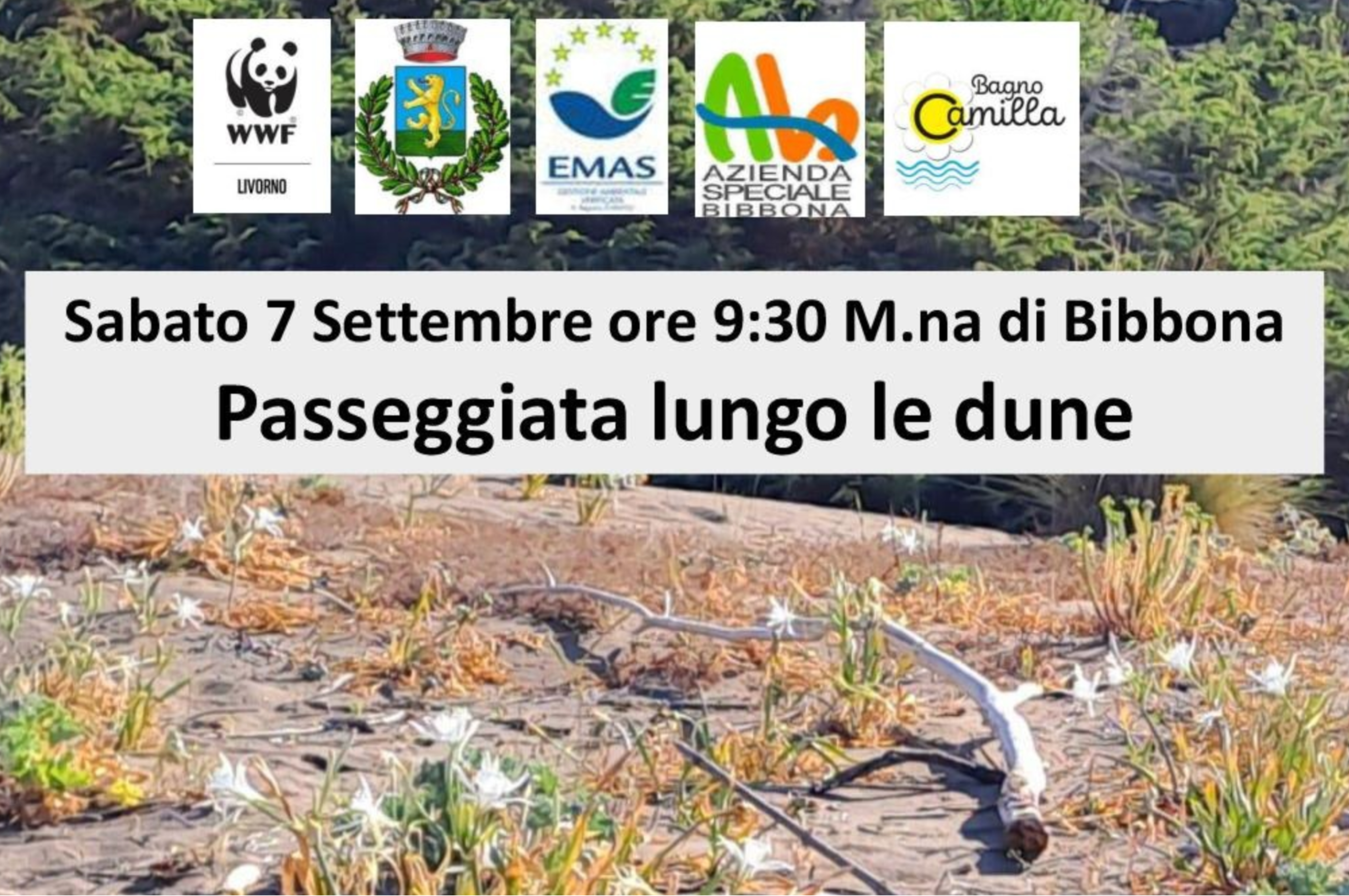 PASSEGGIATA LUNGO LE DUNE – 7 settembre 2024